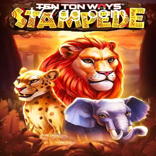 Unleash the Adventure with TenTonWaysStampede